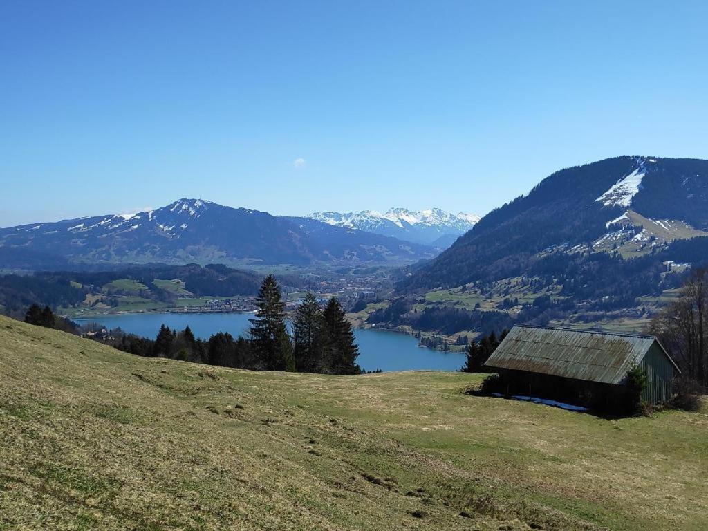 Ferienwohnung Allgaeuglueck Im Ferienpark Oberallgaeu Mit Hallenbad, Sauna, Wlan ミッセン・ヴィルハムス エクステリア 写真