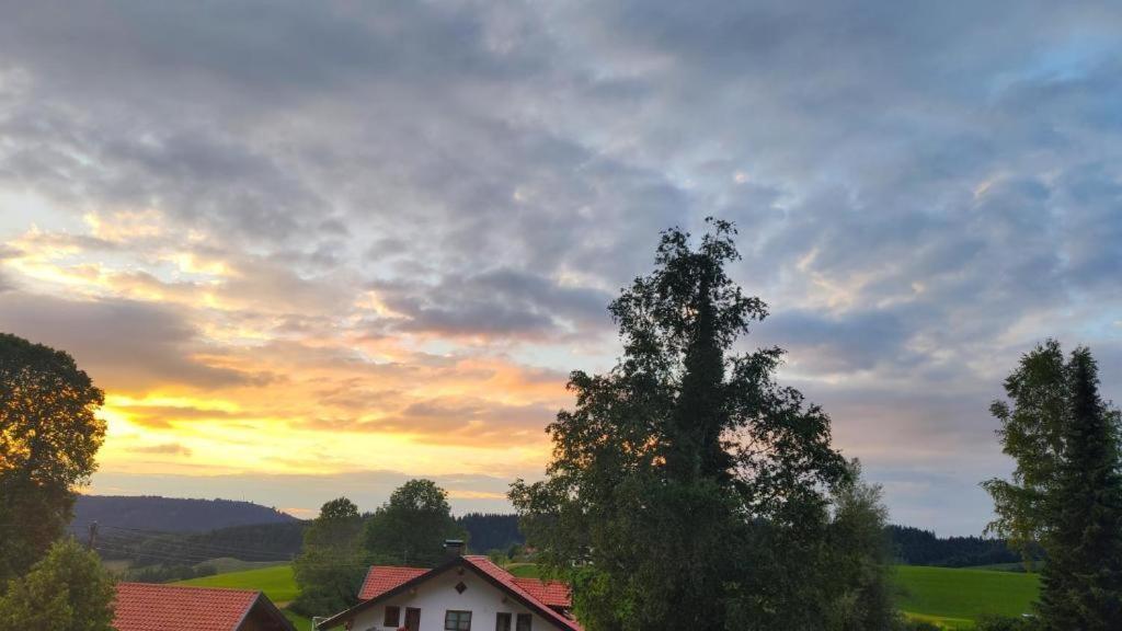 Ferienwohnung Allgaeuglueck Im Ferienpark Oberallgaeu Mit Hallenbad, Sauna, Wlan ミッセン・ヴィルハムス エクステリア 写真